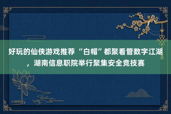 好玩的仙侠游戏推荐 “白帽”都聚看管数字江湖，湖南信息职院举行聚集安全竞技赛